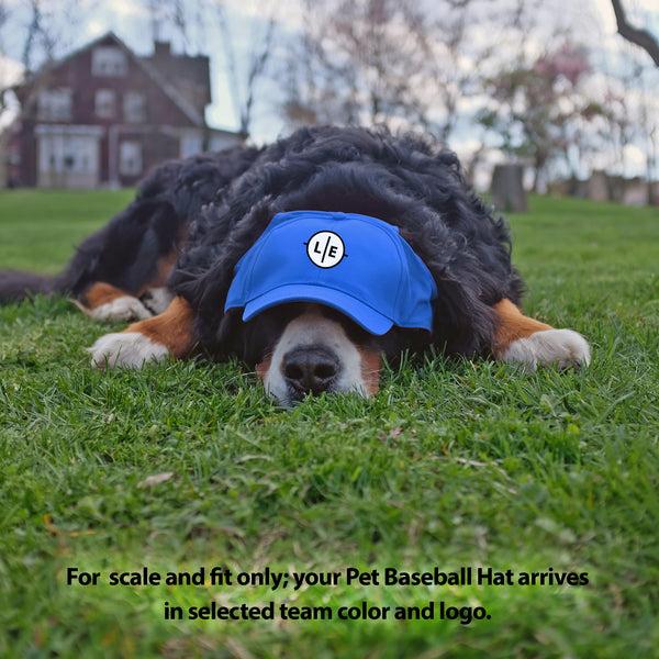 Littlearth New York Giants Pet Baseball Hat