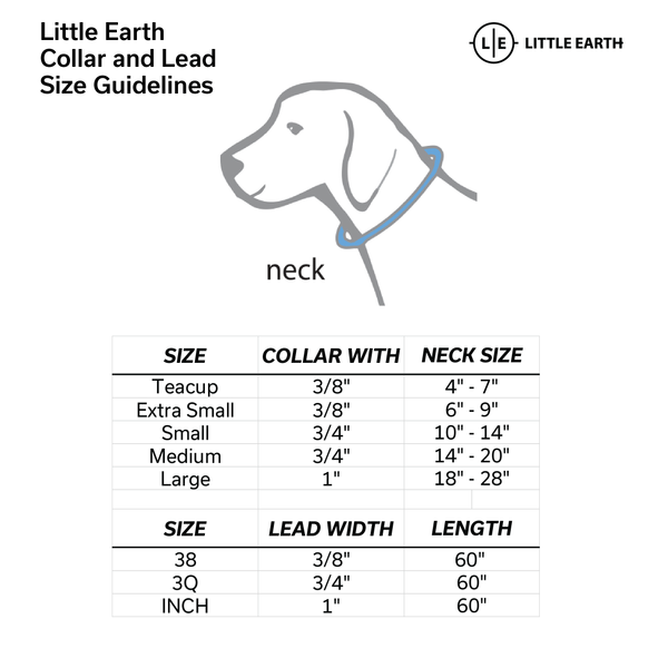 Littlearth Penn State University Pet Team Lead
