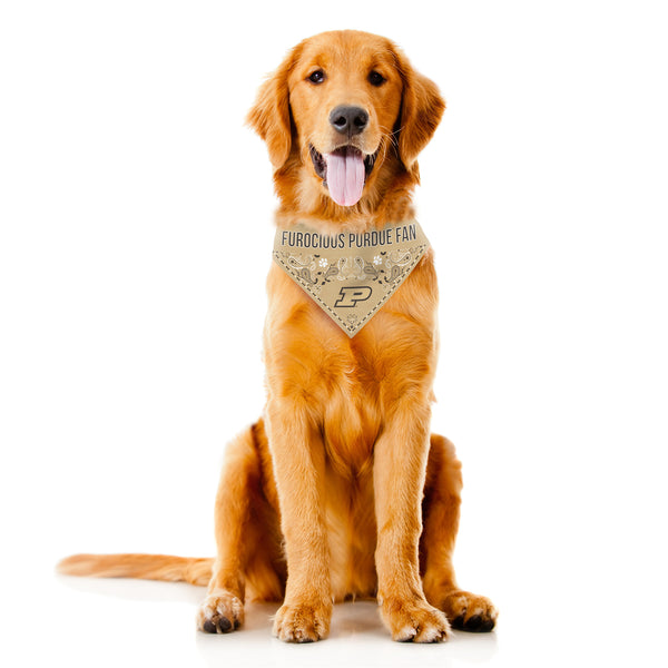 Littlearth Purdue University Pet Bandana