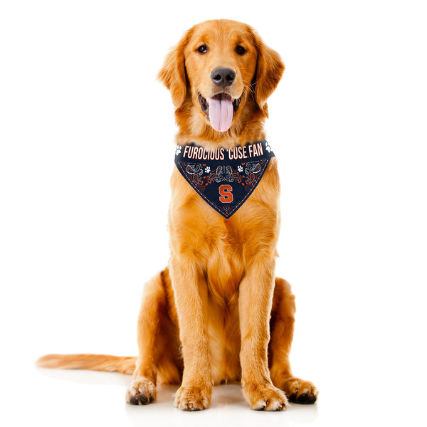 Littlearth Syracuse University Pet Bandana
