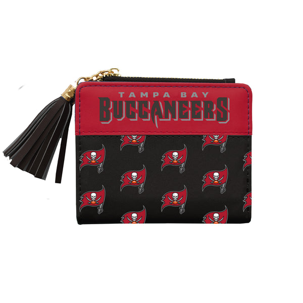 littlearth Tampa Bay Buccaneers Mini Organizer