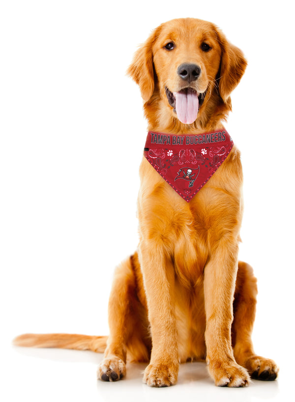 Littlearth Tampa Bay Buccaneers Pet Bandana