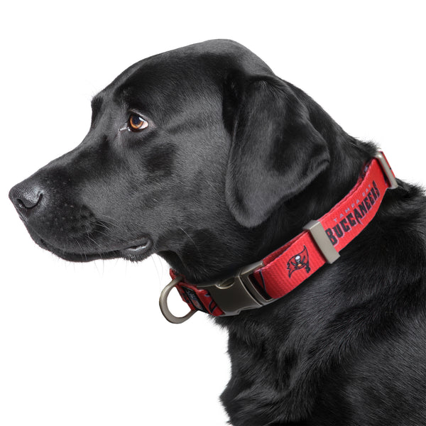 Littlearth Tampa Bay Buccaneers Premium Pet Collar