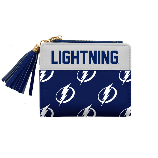 littlearth Tampa Bay Lightning Mini Organizer