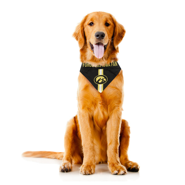 Littlearth University Of Iowa Pet Bandana