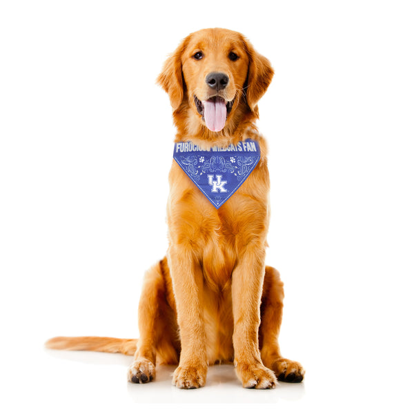Littlearth University Of Kentucky Pet Bandana