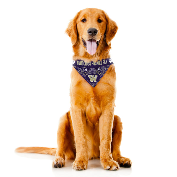 Littlearth University Of Washington Pet Bandana