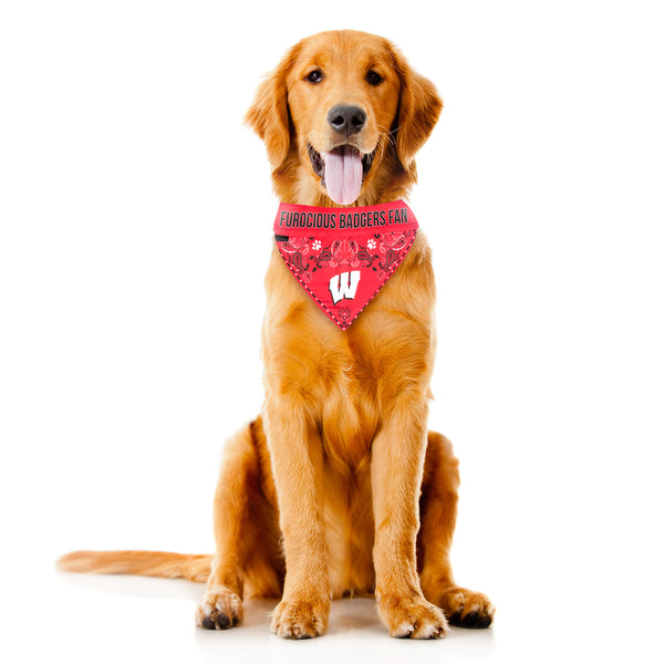 Littlearth University Of Wisconsin Pet Bandana