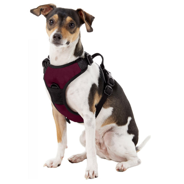 Littlearth Virginia Tech Front Clip Pet Harness