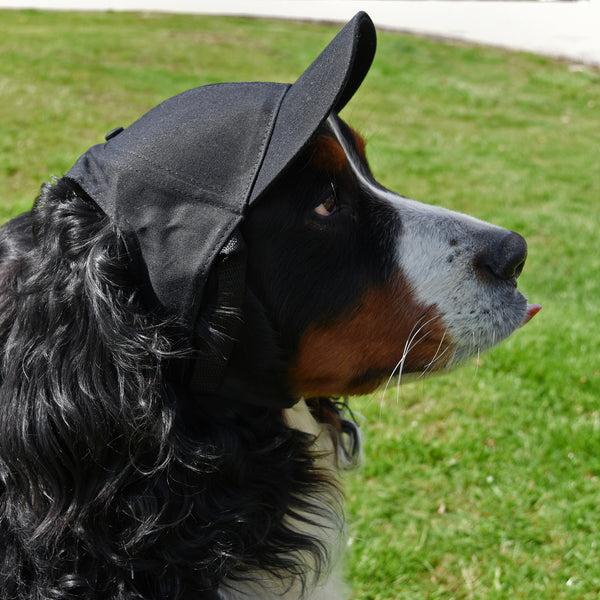 Littlearth Washington Commanders Pet Baseball Hat