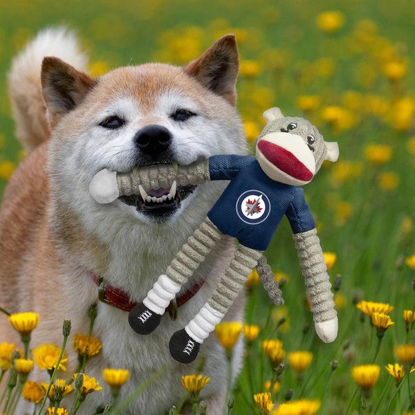 Littlearth Winnipeg Jets Team Sock Monkey Pet Toy