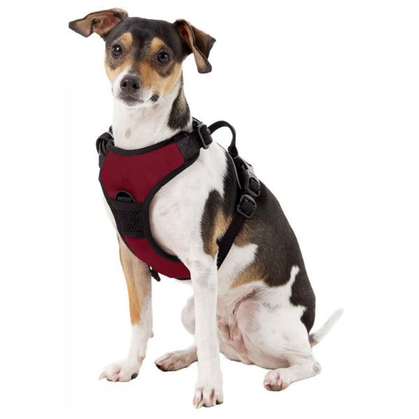 Littlearth Mississippi State University Front Clip Pet Harness