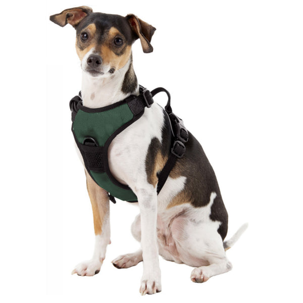 Littlearth North Dakota State University Front Clip Pet Harness