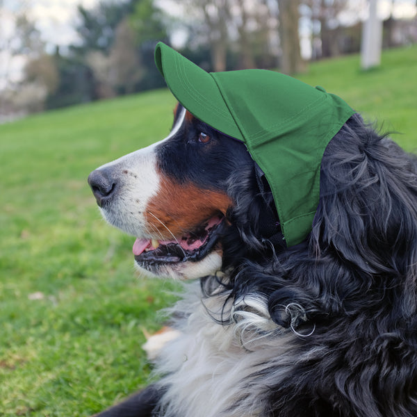 Littlearth North Dakota State University Pet Baseball Hat