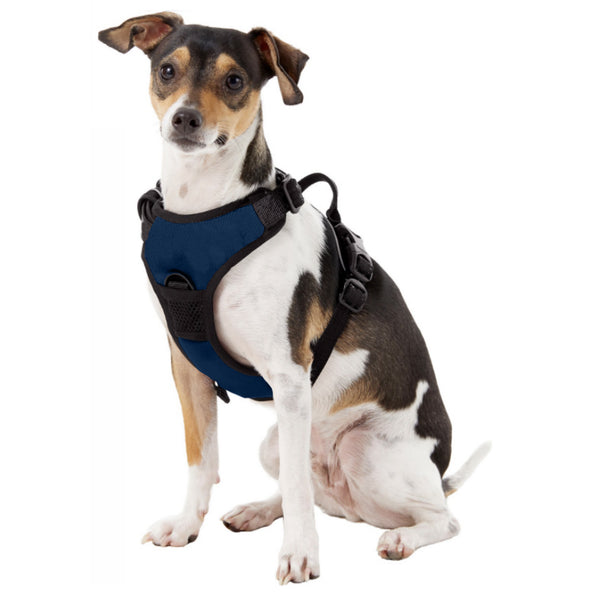 Littlearth Penn State University Front Clip Pet Harness