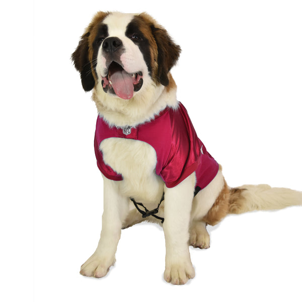Littlearth Tampa Bay Buccaneers Big Pet Stretch Jersey