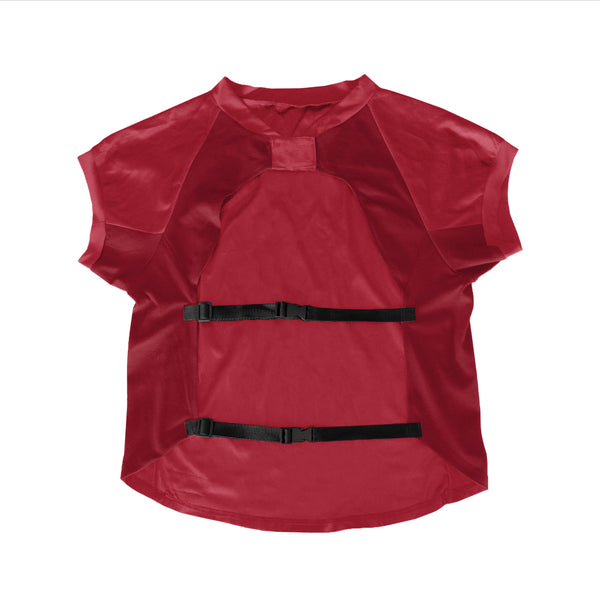Littlearth University Of Minnesota Big Pet Stretch Jersey