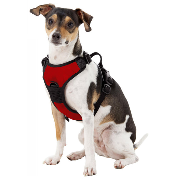 Littlearth University Of Nebraska Front Clip Pet Harness