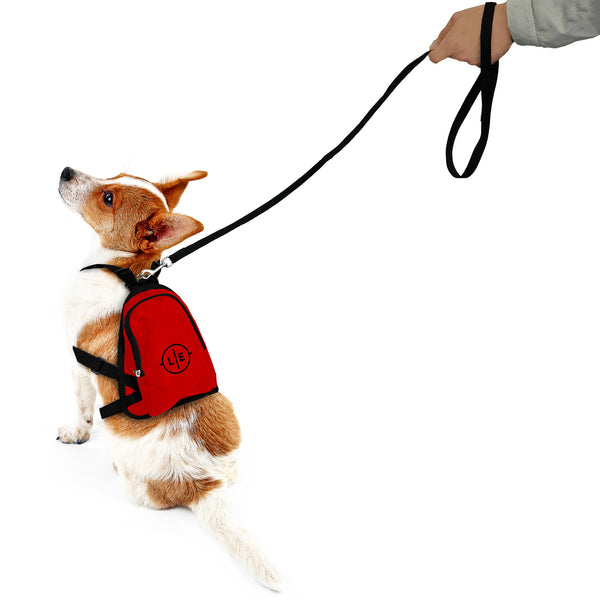 Littlearth University Of Nebraska Pet Mini Backpack