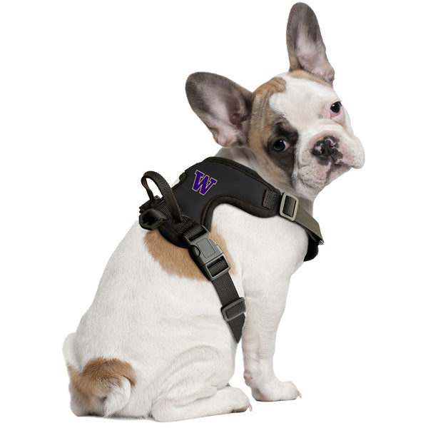 Littlearth University Of Washington Front Clip Pet Harness