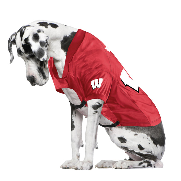 Littlearth University Of Wisconsin Big Pet Stretch Jersey