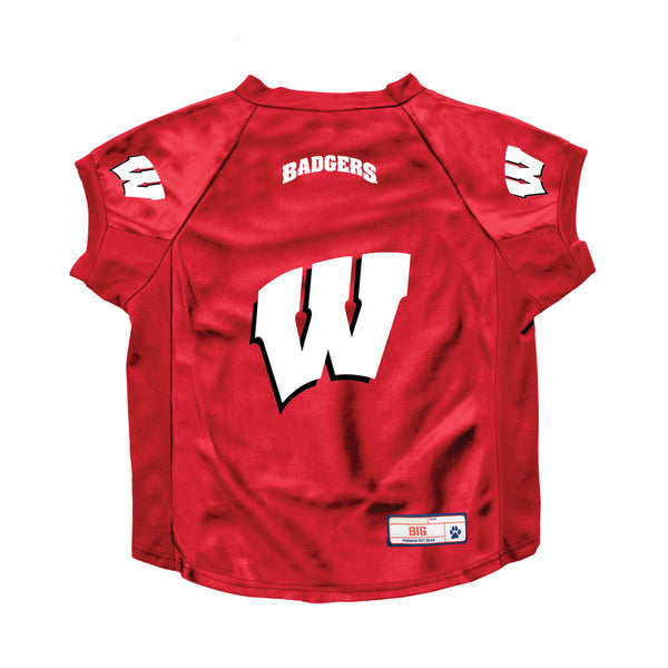 littlearth University of Wisconsin Big Pet Stretch Jersey