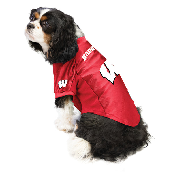 Littlearth University Of Wisconsin Pet Stretch Jersey