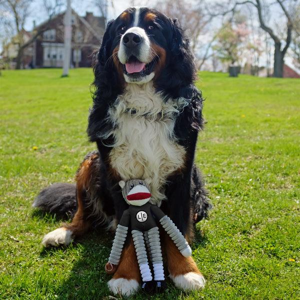 Littlearth Washington Commanders Team Sock Monkey Pet Toy