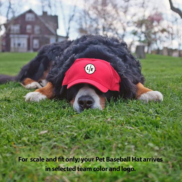 Littlearth Washington State University Pet Baseball Hat