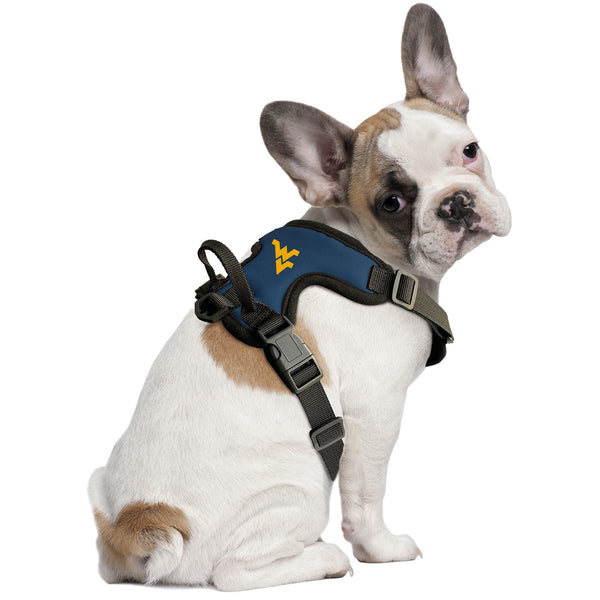 Littlearth West Virginia University Front Clip Pet Harness