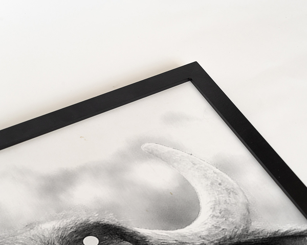 Liv Corday African Buffalo