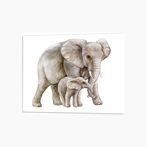 liv corday African Elephant with a Child
