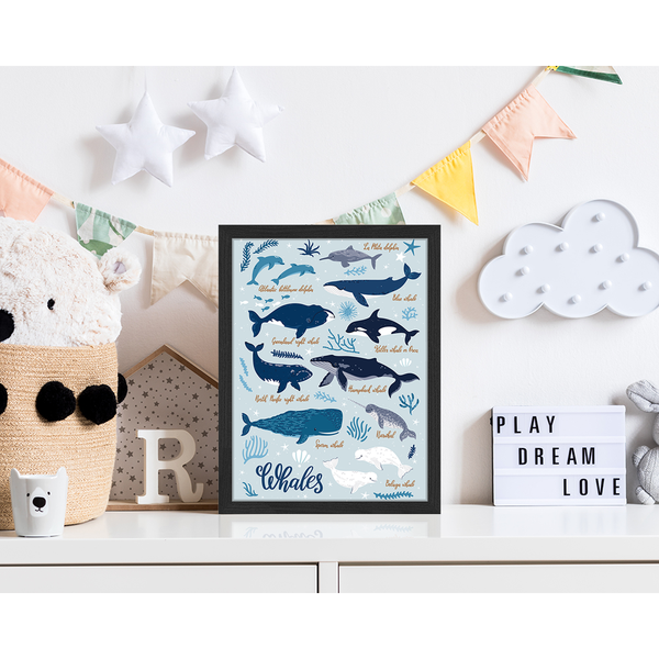 Liv Corday All Kind Of Whales