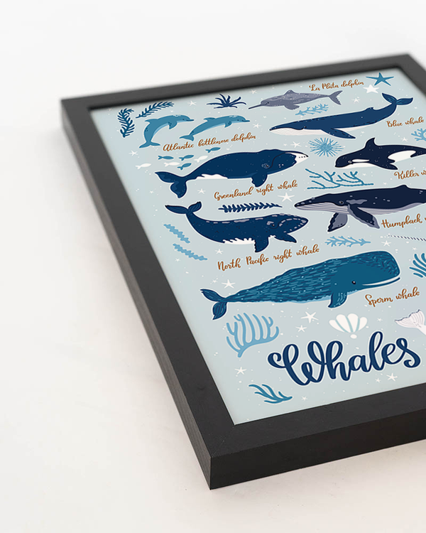 Liv Corday All Kind Of Whales