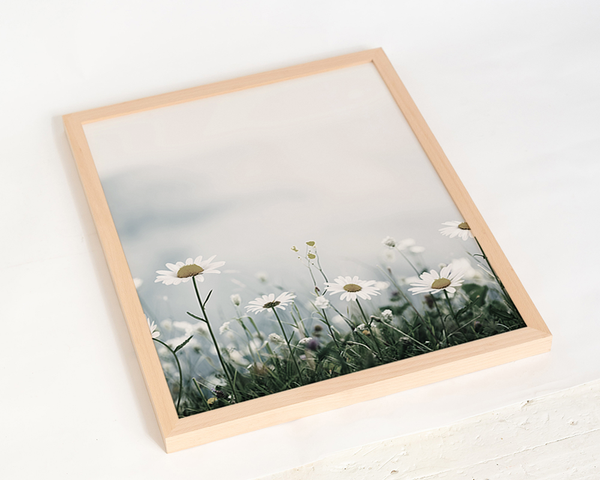 Liv Corday Alpine Meadow