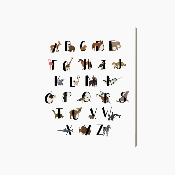 liv corday Animal Alphabet