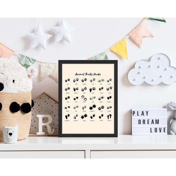 Liv Corday Animal Tracks