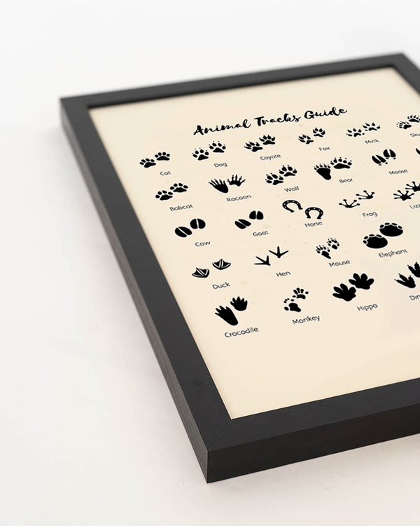 Liv Corday Animal Tracks