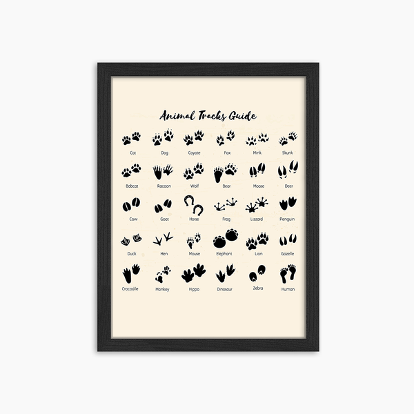 liv corday Animal Tracks