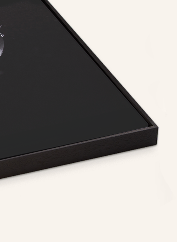 Liv Corday Aston Martin DB5 - James Bond