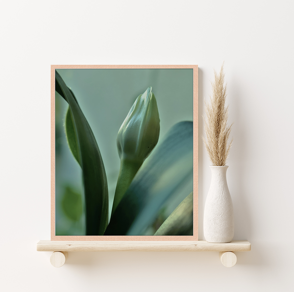 Liv Corday Autumn White Flower