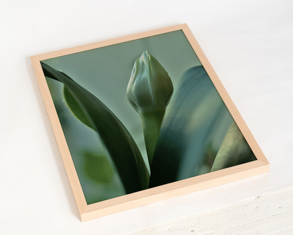 Liv Corday Autumn White Flower