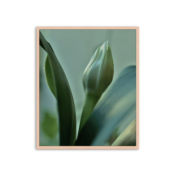 liv corday Autumn White Flower