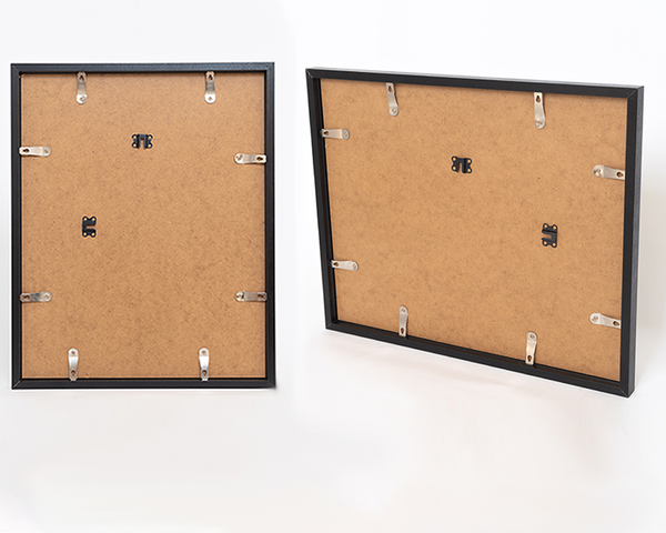 Liv Corday Beautiful Black Horse