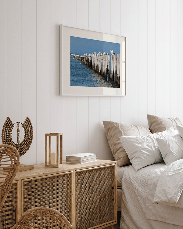 Liv Corday Birds At The Beach