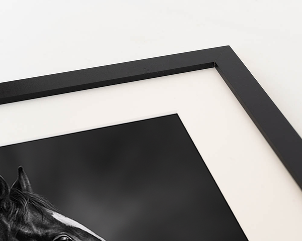 Liv Corday Black Horse