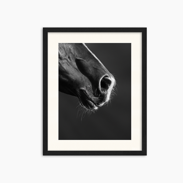 liv corday Black Horse close up