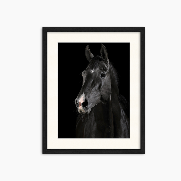 liv corday Black Horse portrait