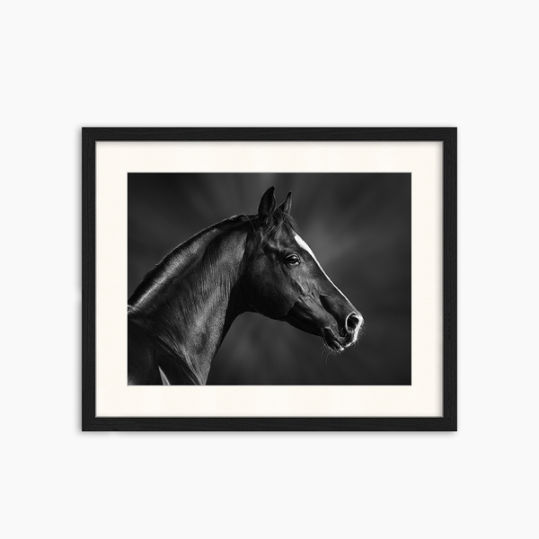 liv corday Black Horse