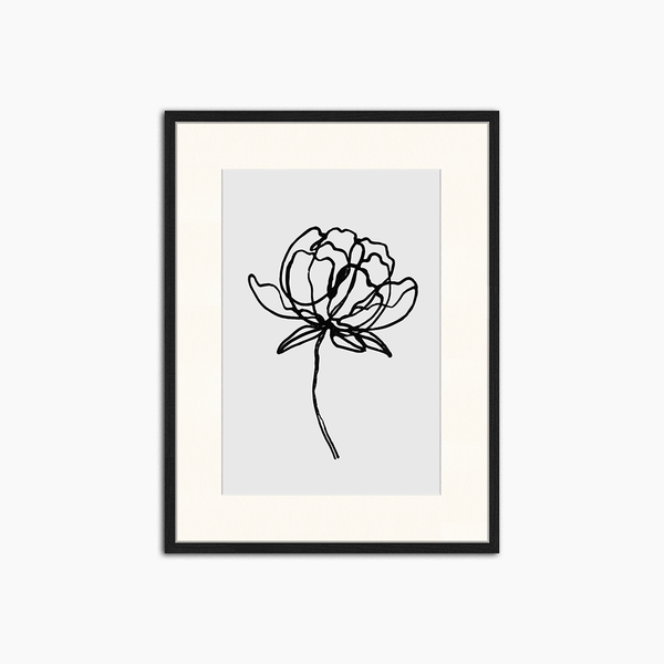 liv corday Black Rose